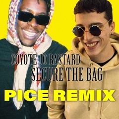 Secure The Bag (Pice Remix)