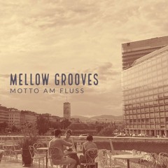 Scheibosan @ Motto Am Fluss - Mellow Grooves