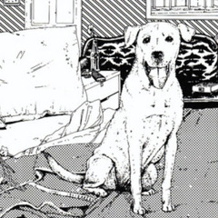 broken never realized