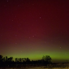 Bassline Bounce (radio cut)