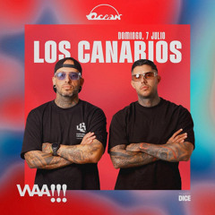 WAA! @ Ocean Gran Canaria (07-07-2024)