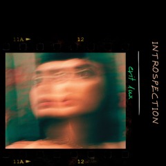 Introspection [2024]