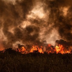 Pyritite #1: Pantanalashes