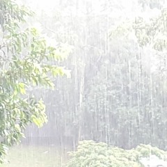 qimie - retitlethisshit