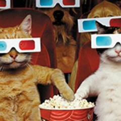 Downtown - Petula Clark (Zunapalooza cover)