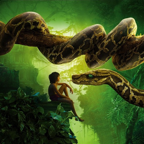 Back To The Jungle