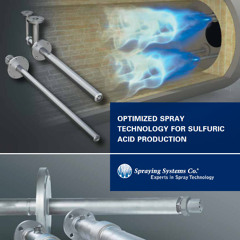 Computational Model of Large Capacity Molten Sulfur Combustion Spray Efficacy and Process Efficiency