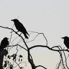 Check the Fleet Destroy lonely remix