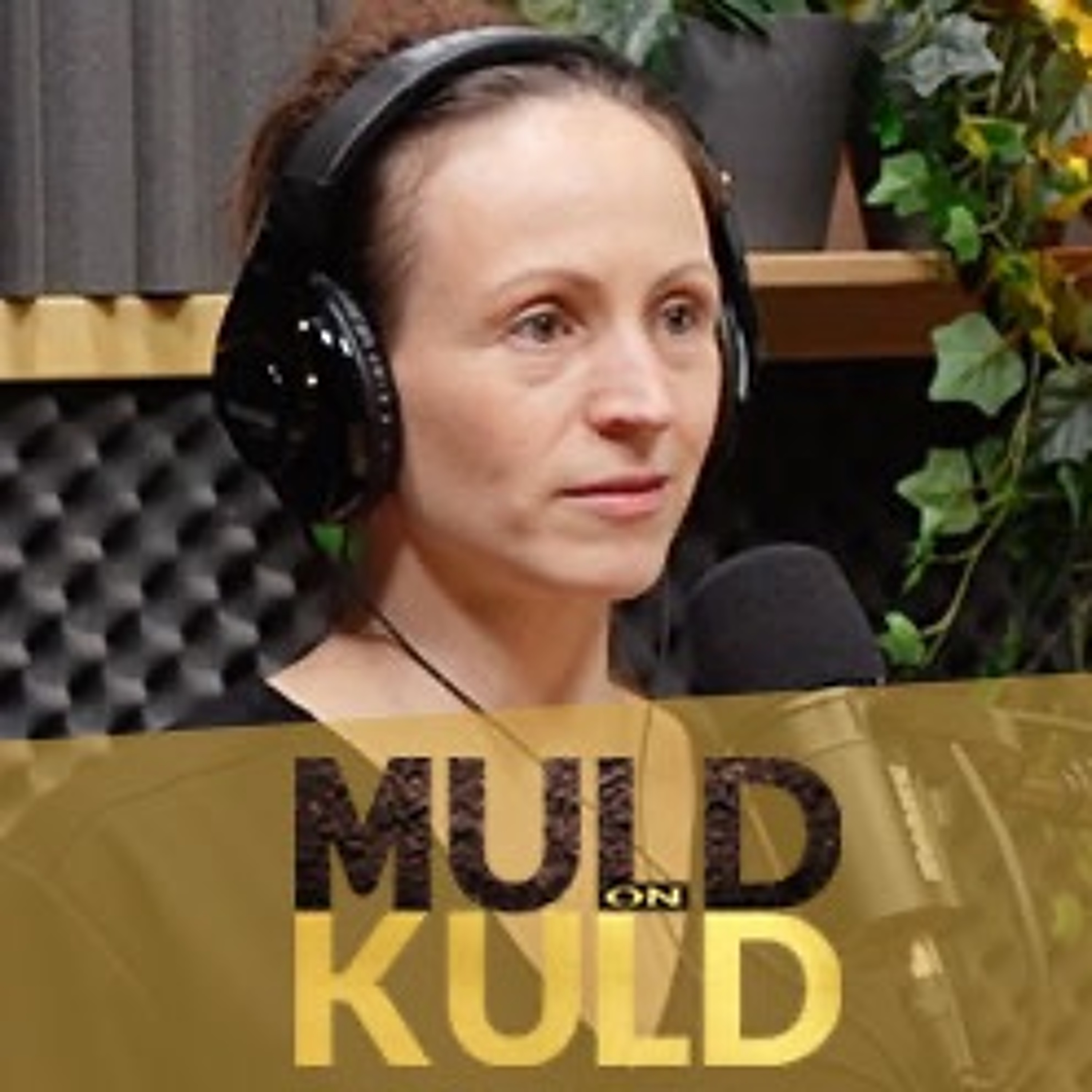 Avalinn podcast