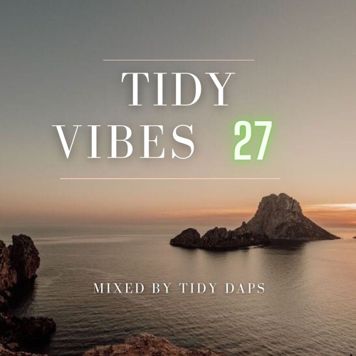 Tidy Vibes vol. 27