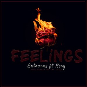 Feelings