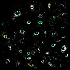 E̷̴̢͔̗͈͙͖̭͍̫͉͇̠̺̥͈ͧ̃̿͐̓̂̒̉ͪ͘͘̚͜͢͞͠ͅͅ m p t y 👁 C σ я є ■̵̸̸̷̠͉͓̼͍̝͔͖̀͆̒̽̽͠͝͝