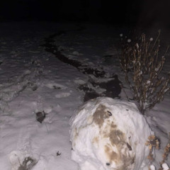 snow song prod abdulnour and massi (xmas xclusive)