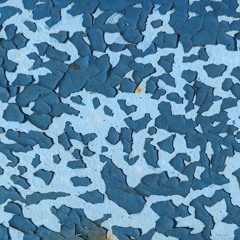 Kitz Ka - Nautilus