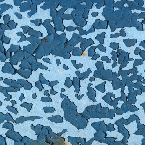 Kitz Ka - Nautilus