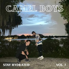 Stay Hydrated Vol. 7 - Camel Boys