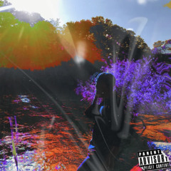 killdummies - Jagdgewehr