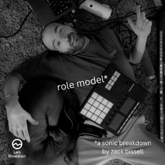 role model: a sonic breakdown