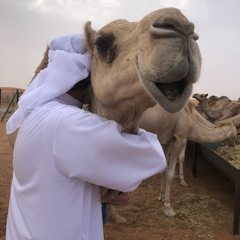 ختامي السيح x استعدوا ياهل الهجن الاصايل