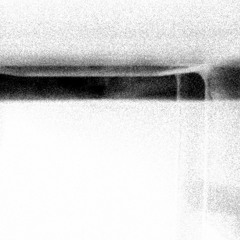 the kid and the blue flowers