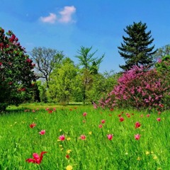 AntharaciteAnthchrist guitar background music DOWNLOAD