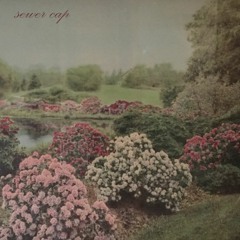 Sewer Cap (Dead Sea)