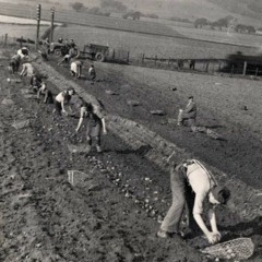 Oral histories of environmental/agricultural research and practice, 1945-present