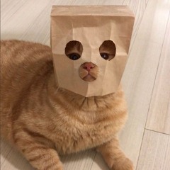 DJ GENIT X STECU CIHUYY SOUND JJ VIRAL TIKTOK YANG KALIAN CARI CARI!! - Arya Fvnky.mp3