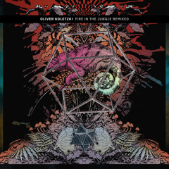 Fire in the Jungle (Lunar Plane Remix)