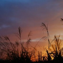 晩夏