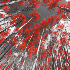 Sìlent Cönnections · Hybrid Set #8