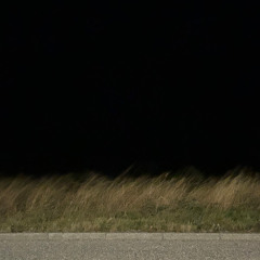 feature length