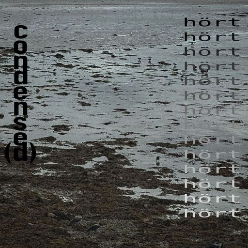 Condense(d) Ep. 24