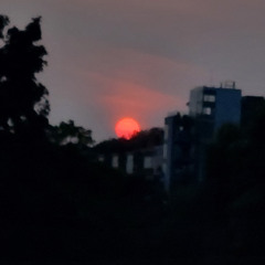 Jamuary 31st 2025 The Sun Sets to Rise on Another Day