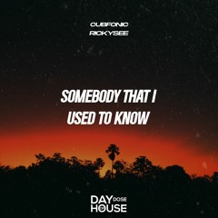 Cubfonic, Rickysee - Somebody That I Used To Know