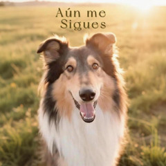 Aún me sigues