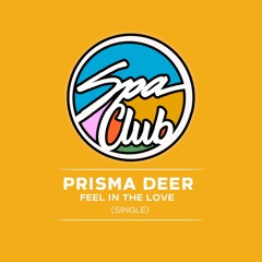 [SPC040] PRISMA DEER - Feel in The Love