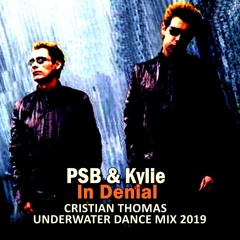 PET SHOP BOYS - IN DENIAL (CRISTIAN THOMAS UNDERWATER DANCE MIX 2019)
