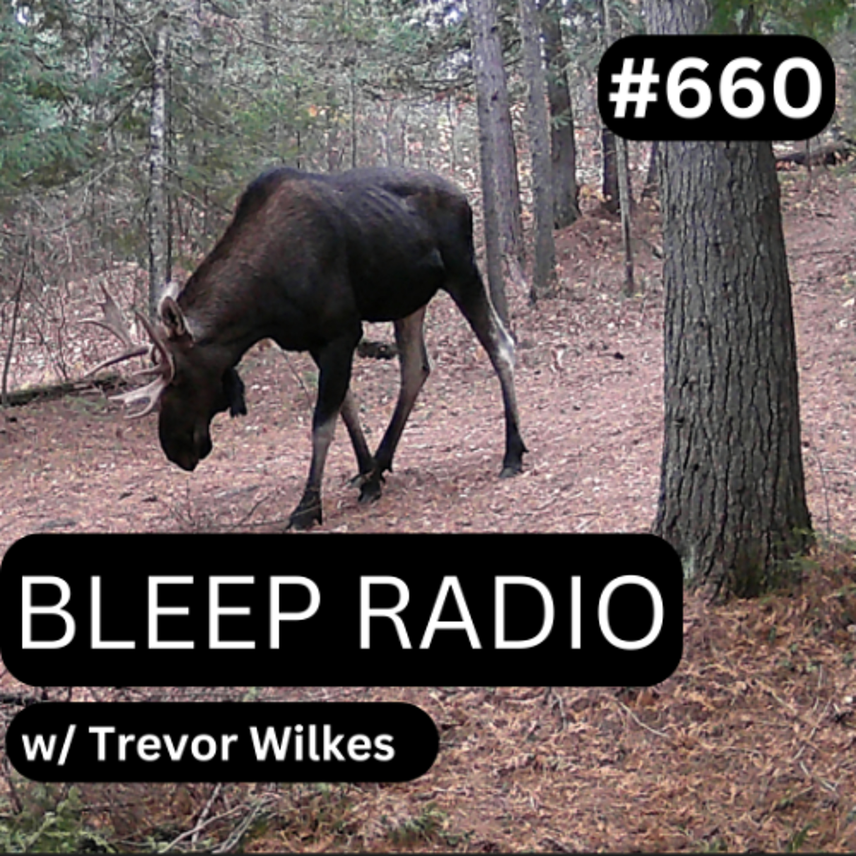 Bleep Radio w/ Trevor Wilkes