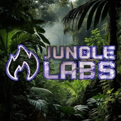 Jungle/Hardcore break mix 19th July 2025