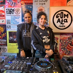 Lynx IRL | 23.01.2025