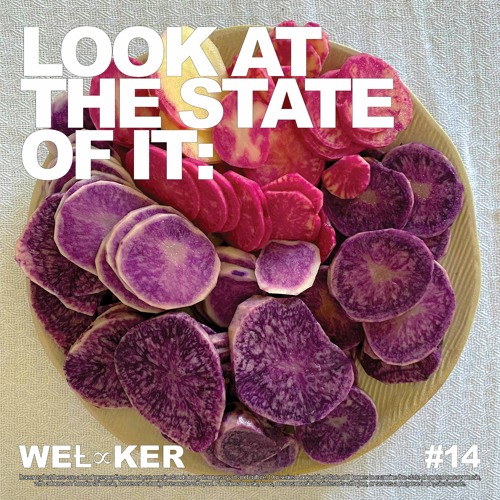 #14 LATSOI: WEȽ∝KER