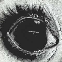 Tefflon- Foldin