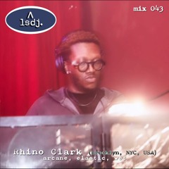 Rhino Clark - LSDJ! Mix 043