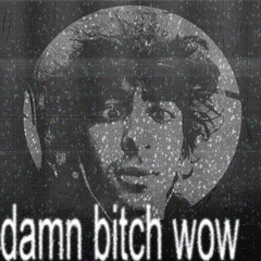 damn bitch wow ft. prayag