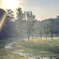 viyah - forever hurt