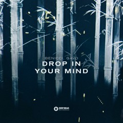 Benicci, Gavo - Drop In Your Mind