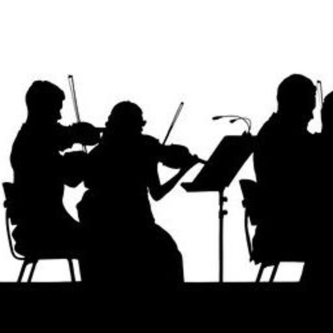 Karl Jenkins Concerto grosso for strings-Palladio-1.Allegretto(mia base realizzata in versione rock)
