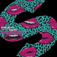 Ryan Blyth Vs Disclosure - Say So Magnets (Robbie Brown Mashup) [FREE DOWNLOAD]