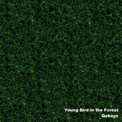 Young Bird In The Forest